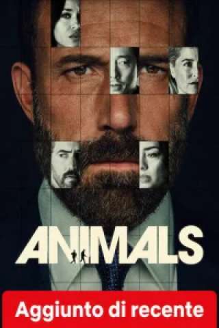 Animals streaming